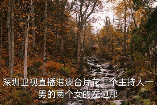 深圳衛視直播港澳臺片花三個主持人一男的兩個女的左邊那