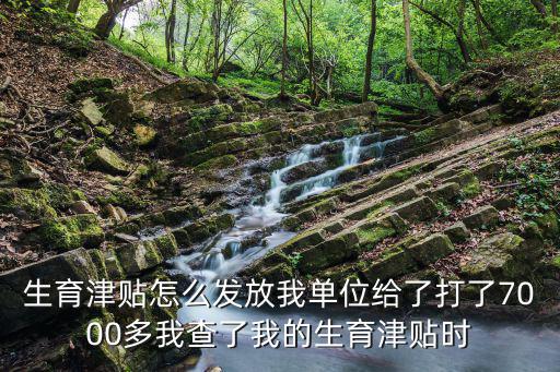生育津貼查詢，為什么生育津貼第一個月能查賬第二個月查不到
