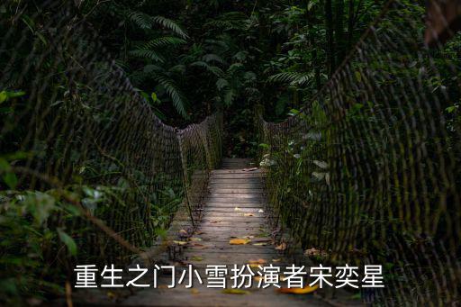 重生之門小雪扮演者宋奕星