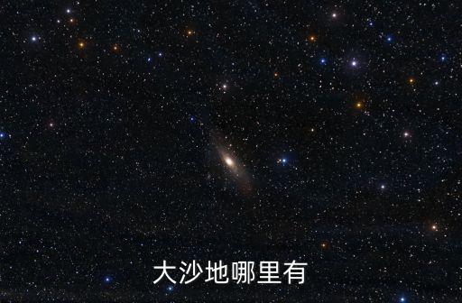大沙地哪里有