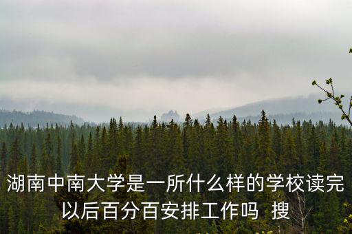 湖南中南大學，湖南的中南大學怎么樣