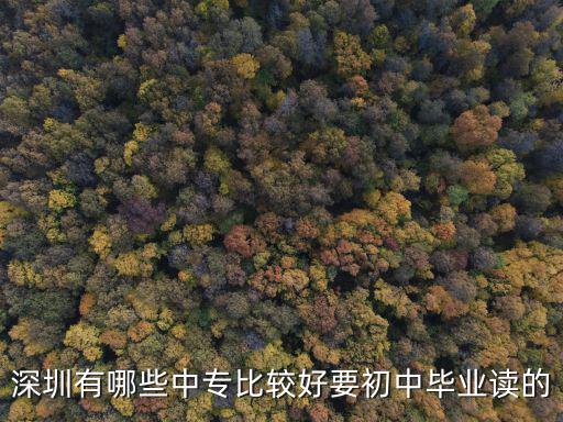 深圳有哪些中專比較好要初中畢業讀的