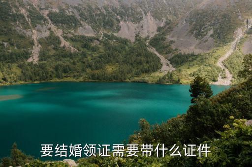 要結(jié)婚領(lǐng)證需要帶什么證件