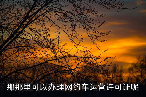 那那里可以辦理網約車運營許可證呢
