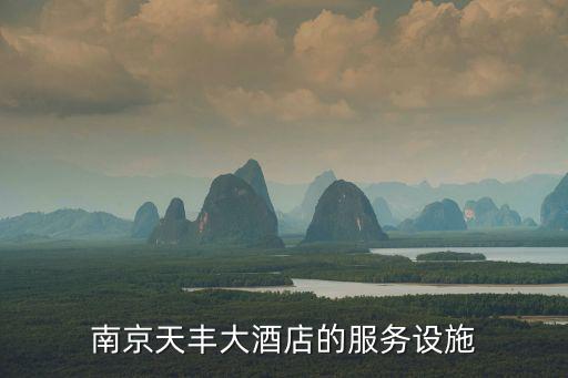 南京天豐大酒店的服務(wù)設(shè)施