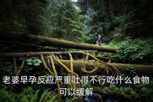 老婆早孕反應嚴重吐得不行吃什么食物可以緩解