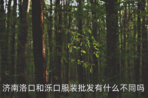 濟南洛口和濼口服裝批發有什么不同嗎