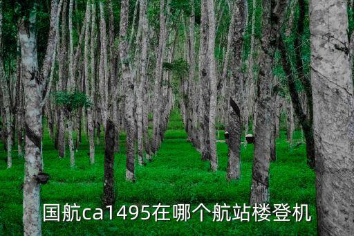 ca1495，國航ca1495在哪個航站樓登機