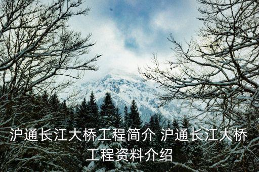 滬通大橋，滬通大橋南通地鐵