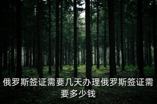 俄羅斯簽證需要幾天辦理俄羅斯簽證需要多少錢(qián)