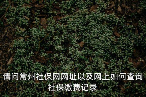 請問常州社保網網址以及網上如何查詢社保繳費記錄