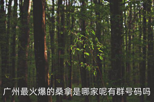 廣州最火爆的桑拿是哪家呢有群號碼嗎
