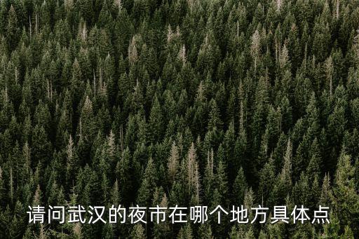 請問武漢的夜市在哪個地方具體點