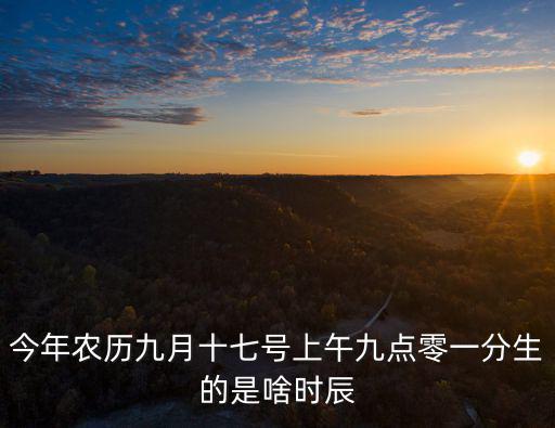 今年農(nóng)歷九月十七號上午九點(diǎn)零一分生的是啥時(shí)辰