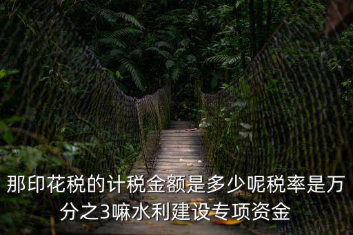 那印花稅的計稅金額是多少呢稅率是萬分之3嘛水利建設專項資金