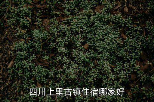 上里古鎮(zhèn)住宿，上里古鎮(zhèn)最好的住宿在哪里