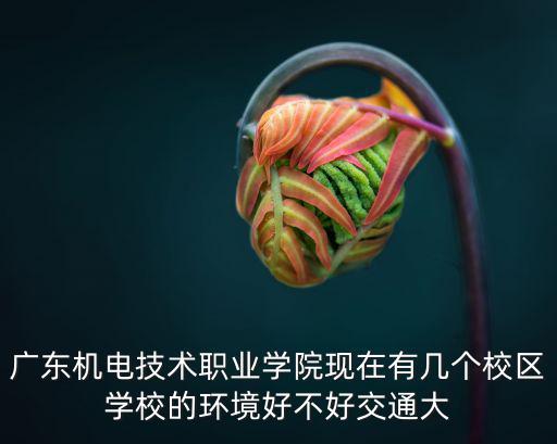 廣東機(jī)電技術(shù)職業(yè)學(xué)院現(xiàn)在有幾個(gè)校區(qū)學(xué)校的環(huán)境好不好交通大