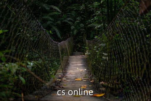 cs online