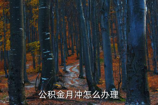 公積金月沖怎么辦理
