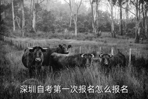 深圳自考第一次報名怎么報名