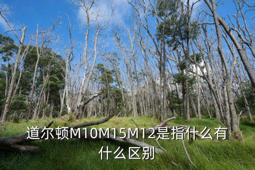 道爾頓M10M15M12是指什么有什么區別