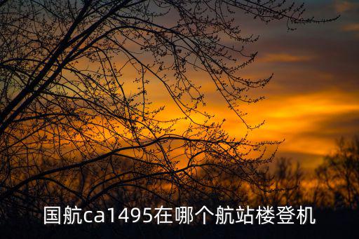 國航ca1495在哪個(gè)航站樓登機(jī)