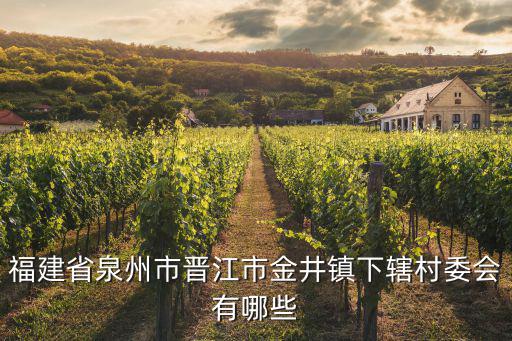 福建省泉州市晉江市金井鎮(zhèn)下轄村委會有哪些