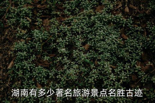 湖南景區，湖南有多少個旅游景點
