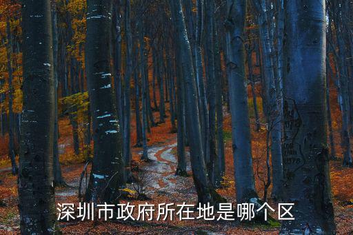深圳市政府所在地是哪個區(qū)