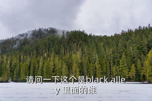 請問一下這個是black alley 里面的誰