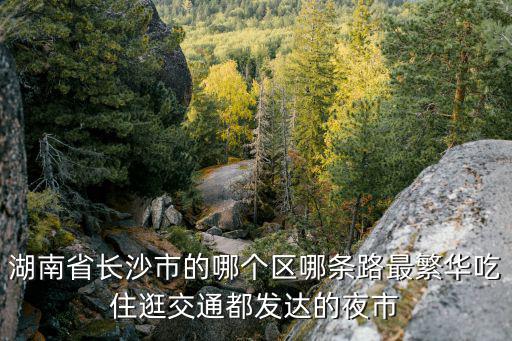 湖南省長沙市的哪個區(qū)哪條路最繁華吃住逛交通都發(fā)達(dá)的夜市