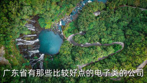 廣東省電子，誰(shuí)知道廣東哪里有什么好的電子廠啊