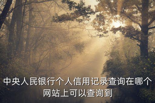 個人征信系統查詢官網，個人征信查詢網上查詢方法 個人信用報告怎么查