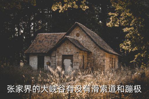張家界的大峽谷有沒(méi)有滑索道和蹦極