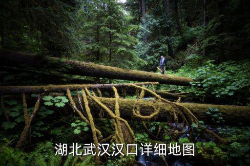 湖北武漢漢口詳細地圖