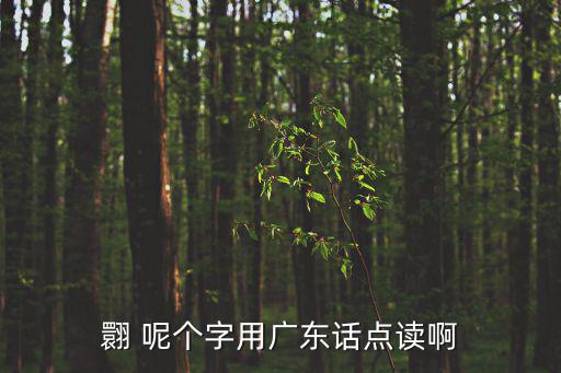 廣東紅盾網，廣東深圳的紅盾網網址是多少就是工商局可以查看公司注冊信息的網