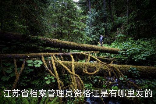 江蘇省檔案管理員資格證是有哪里發的