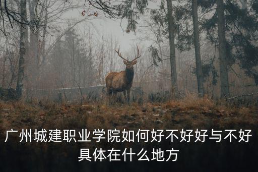 廣州城建職業學院如何好不好好與不好具體在什么地方