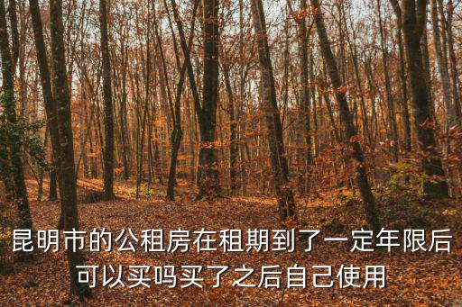 昆明市的公租房在租期到了一定年限后可以買嗎買了之后自己使用