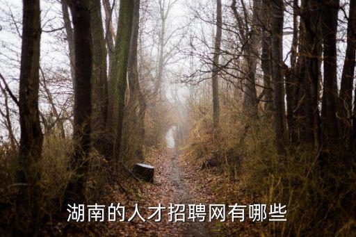 湖南的人才招聘網有哪些