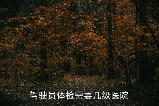 駕駛員體檢需要幾級醫院