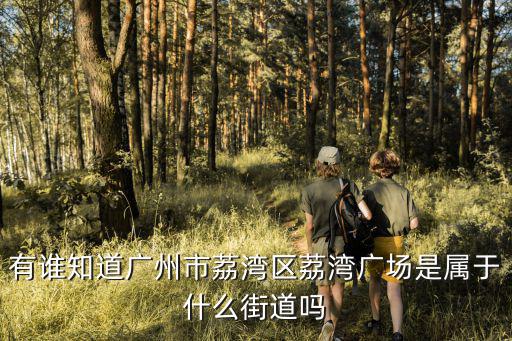 有誰知道廣州市荔灣區荔灣廣場是屬于什么街道嗎