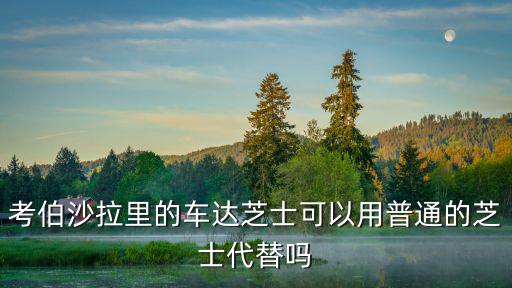 考伯沙拉里的車達(dá)芝士可以用普通的芝士代替嗎