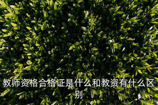 教師資格合格證是什么和教資有什么區(qū)別