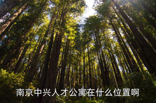 南京中興人才公寓在什么位置啊