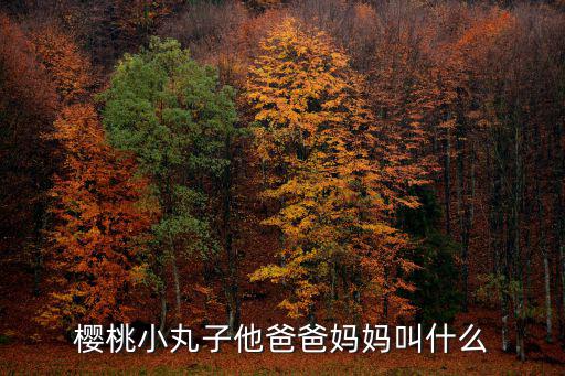 櫻桃小丸子他爸爸媽媽叫什么
