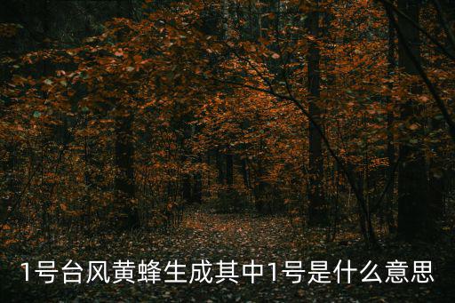 1號臺風黃蜂生成其中1號是什么意思