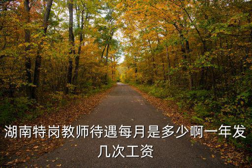 湖南特崗教師待遇每月是多少啊一年發幾次工資