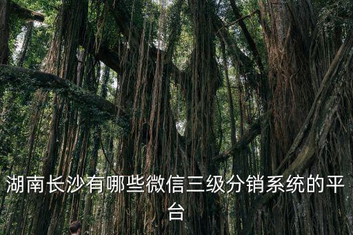 湖南長沙有哪些微信三級分銷系統(tǒng)的平臺