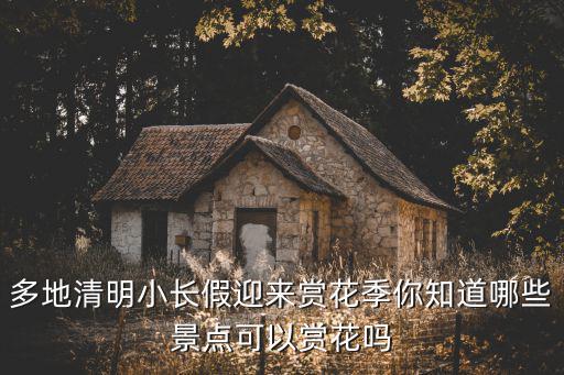 清明賞花，清明賞花去哪兒
